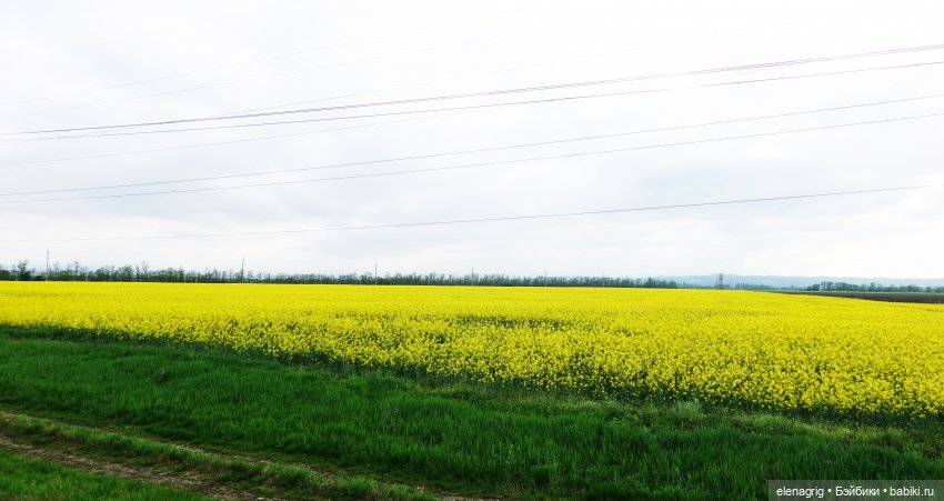 Верена весной — Игровые куклы Zwergnase (Цвергназе) Junior: Джуниор (фото 5)