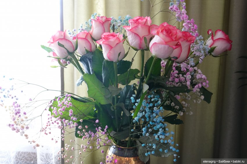 Нелли и Виктор Ruby Red Siblies (фото 3)