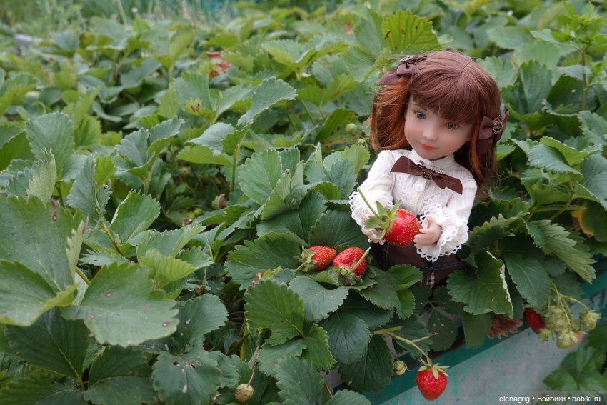 Куклы Ruby Red, Руби Ред