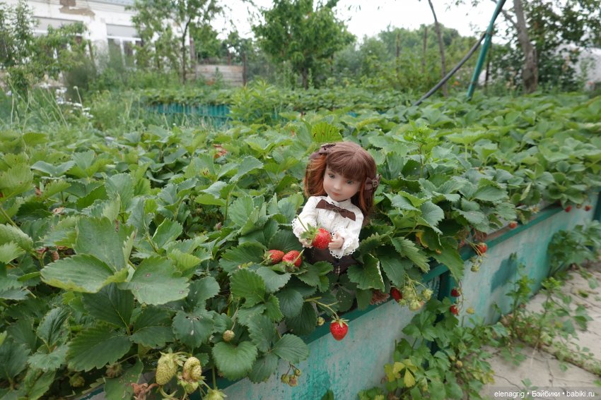 Куклы Ruby Red, Руби Ред