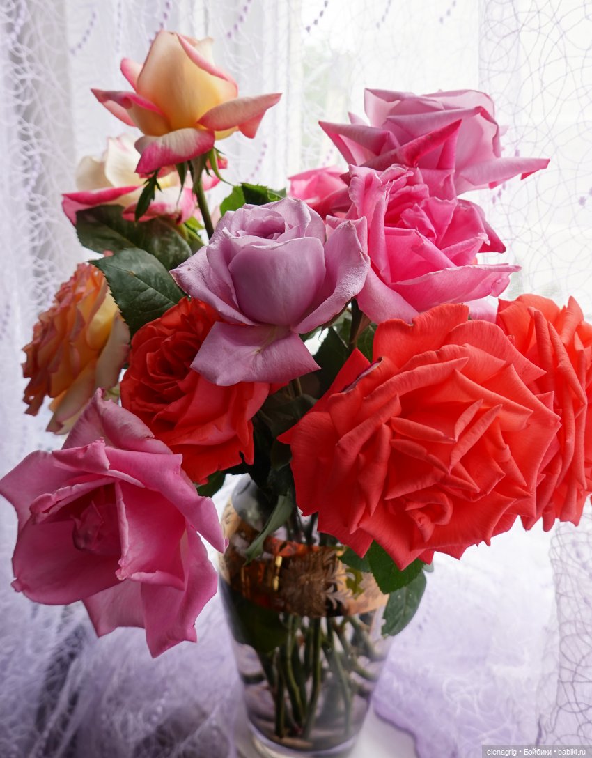 Нелли и Виктор Ruby Red Siblies (фото 6)