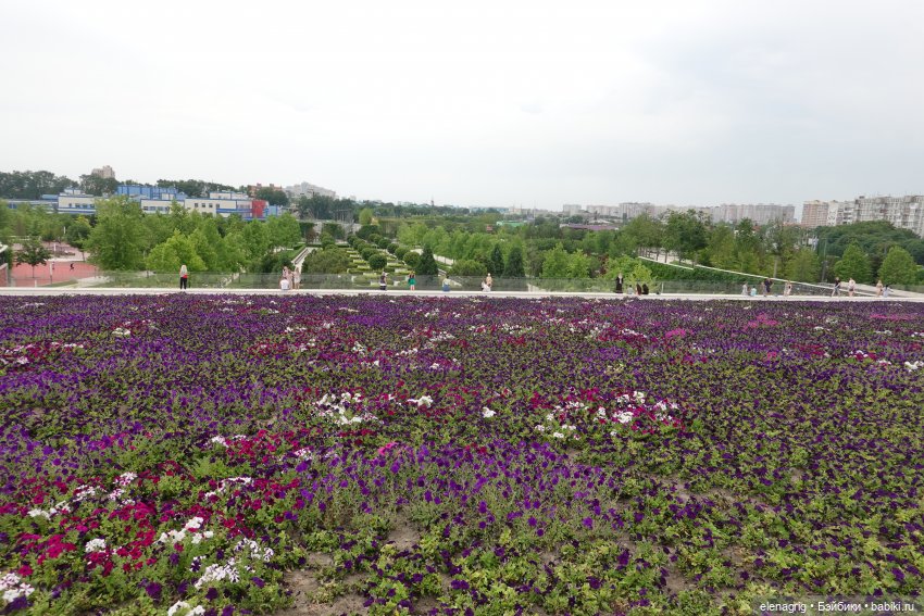 парк Галицкого