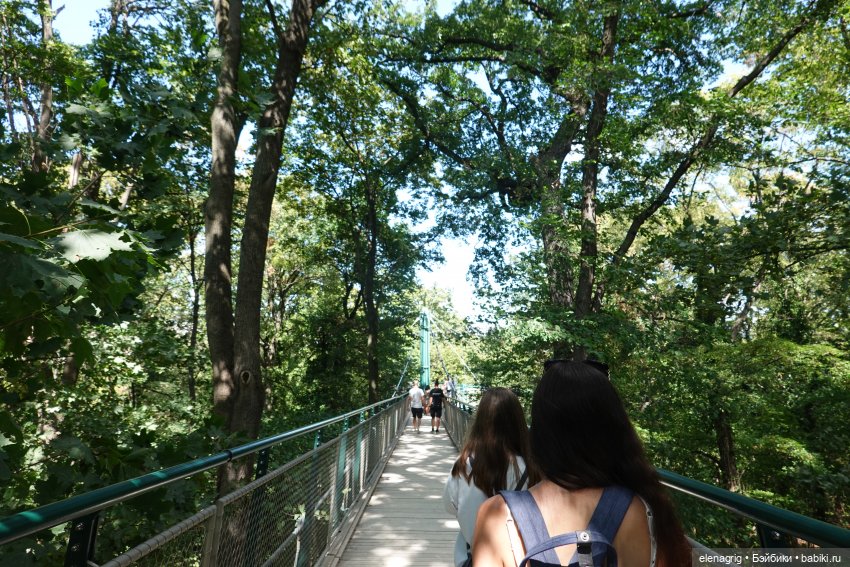 Вена, зоопарк