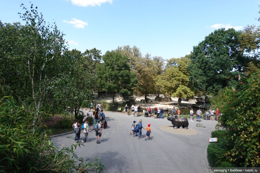 Вена, зоопарк