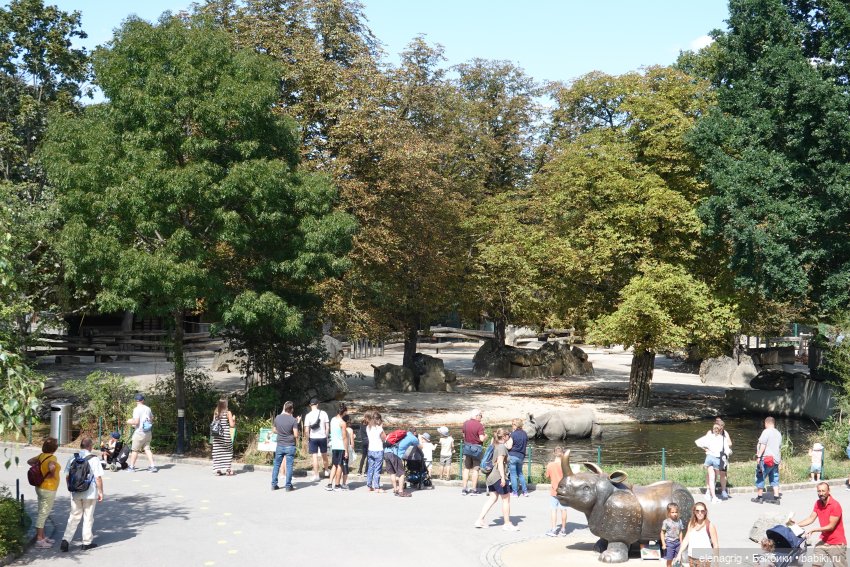 Вена, зоопарк