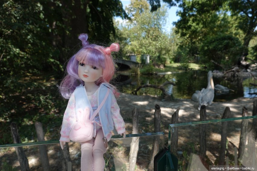 Вена, зоопарк