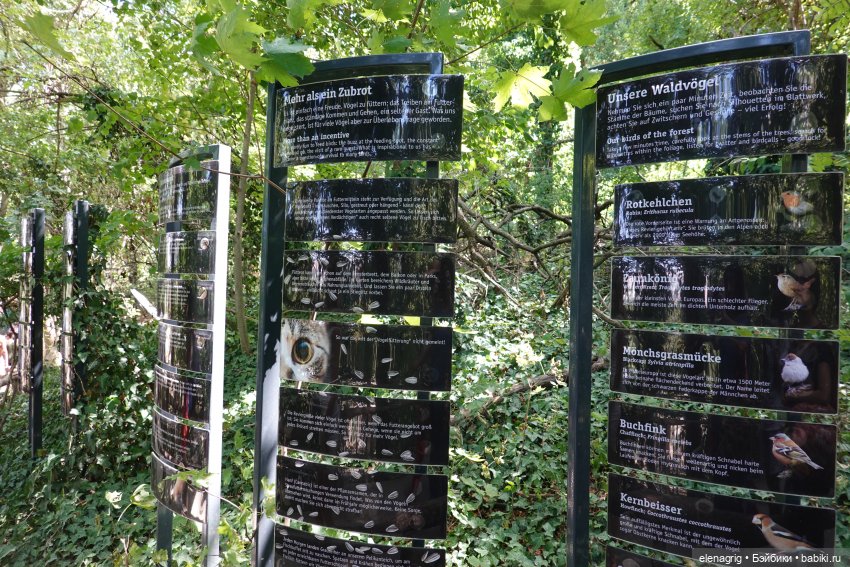 Вена. Зоопарк, набережная Дуная