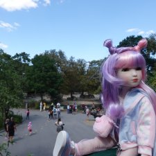 Вена. Зоопарк, набережная Дуная