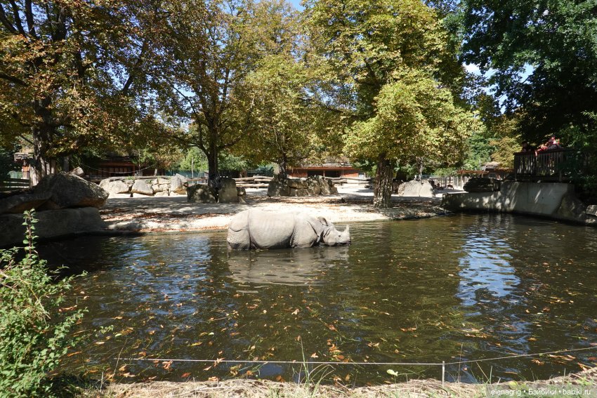 Вена, зоопарк