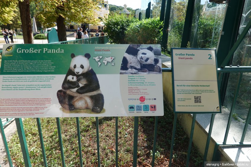 Вена, зоопарк