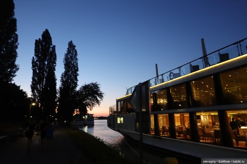 Вена, Дунай