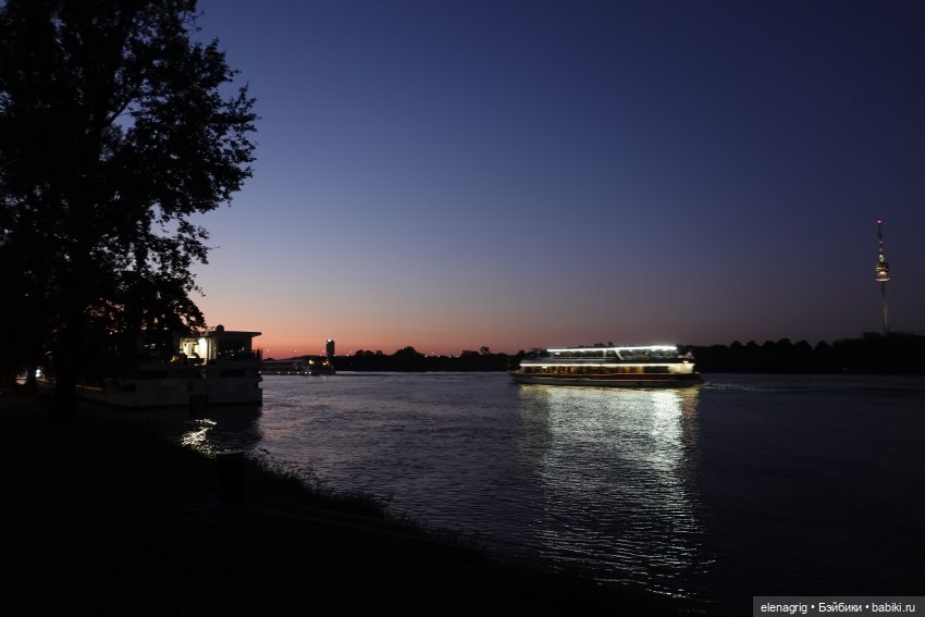 Вена, Дунай