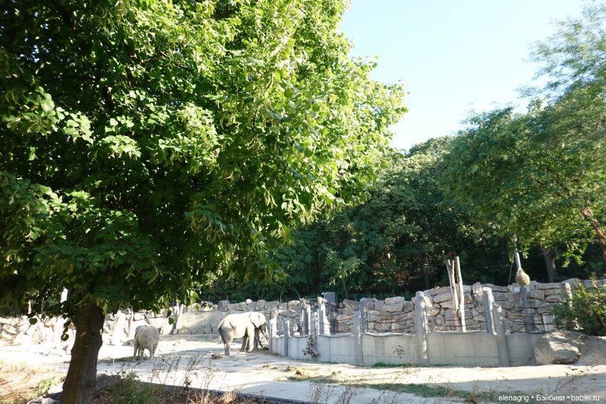 Вена, зоопарк