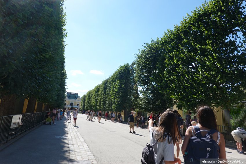 Вена, зоопарк