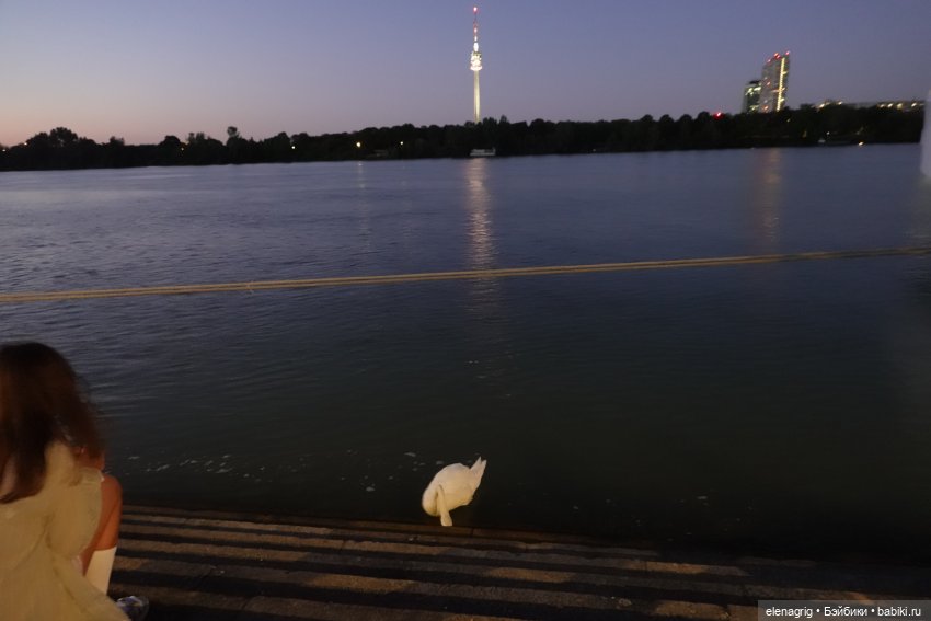 Вена, Дунай