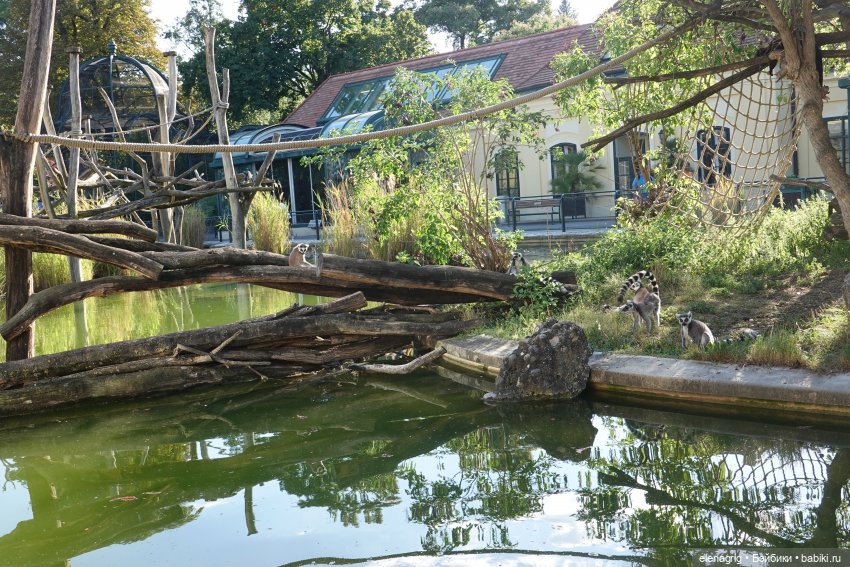 Вена, зоопарк