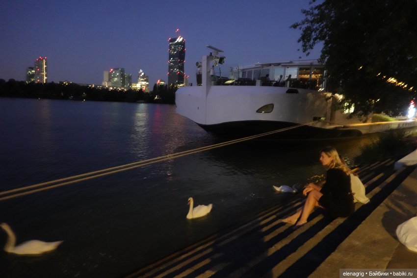 Вена, Дунай