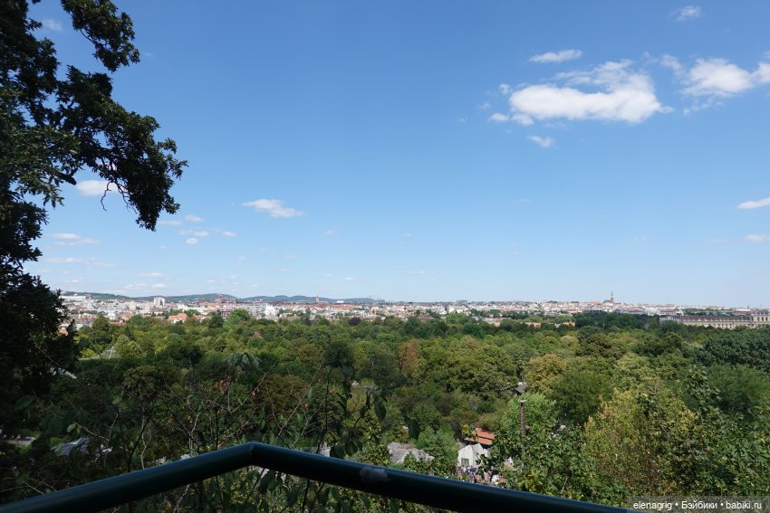 Вена, зоопарк