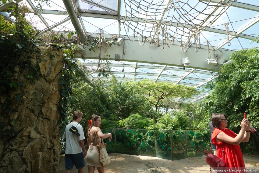 Вена, зоопарк