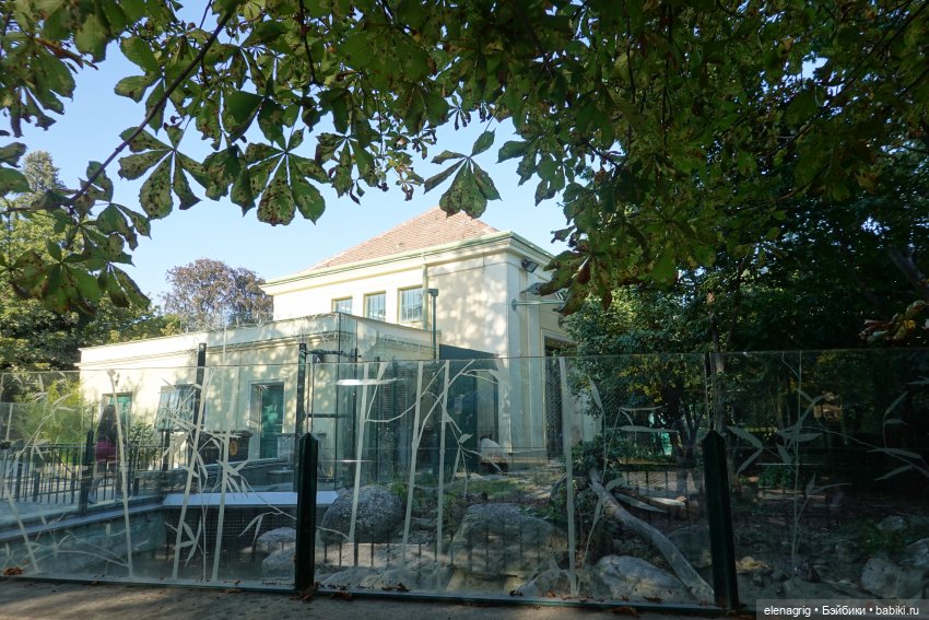 Вена, зоопарк