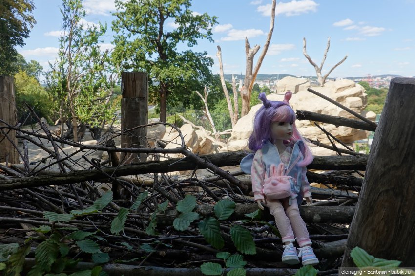 Вена, зоопарк