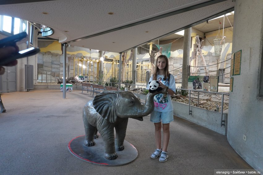 Вена, зоопарк