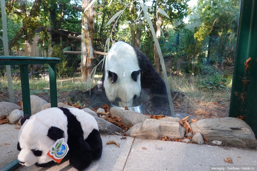 Вена, зоопарк