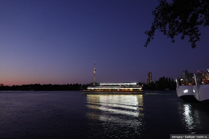 Вена, Дунай