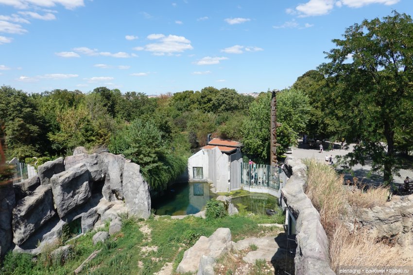 Вена, зоопарк