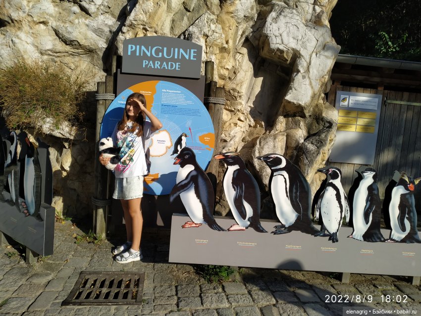 Вена. Зоопарк, набережная Дуная (фото 5)