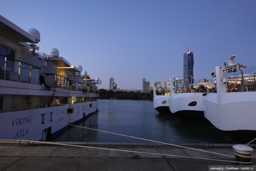 Вена, Дунай