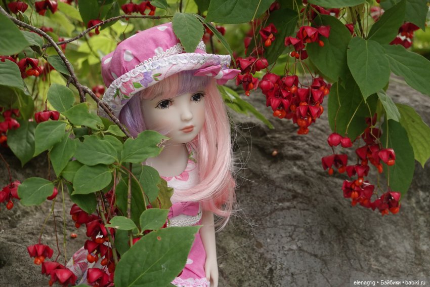 Куклы Ruby Red, Руби Ред