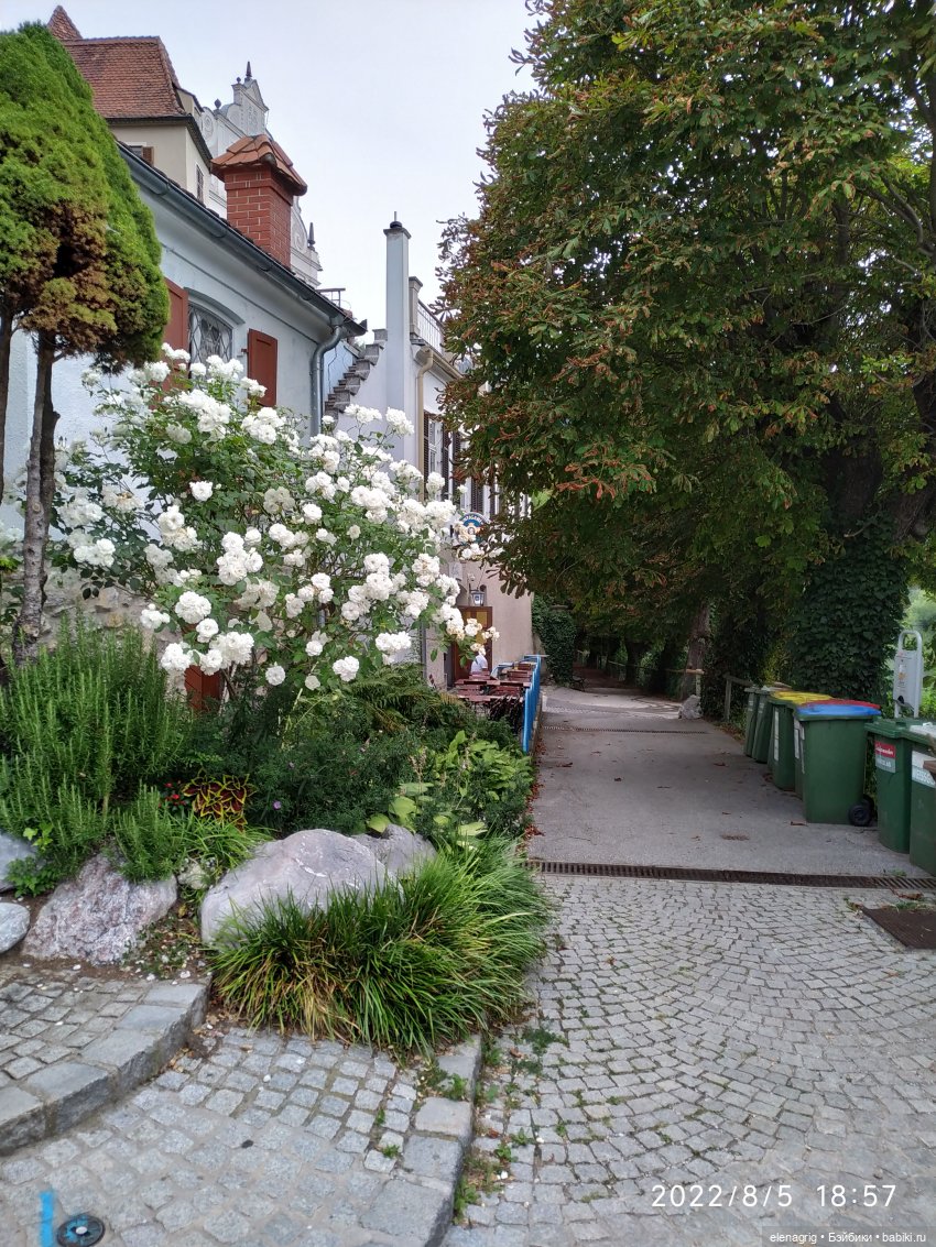 Австрия,Фронлайтен