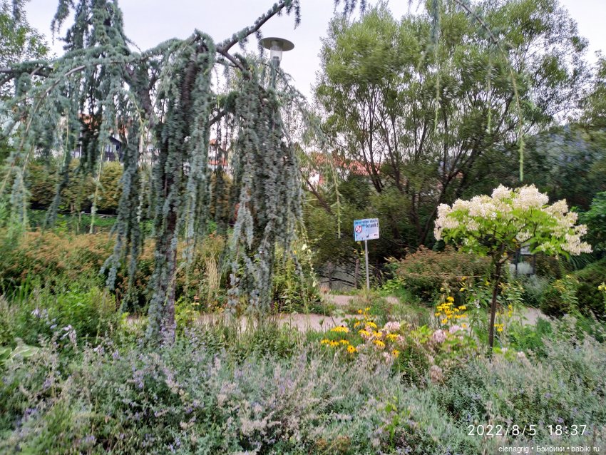 Австрия,Фронлайтен