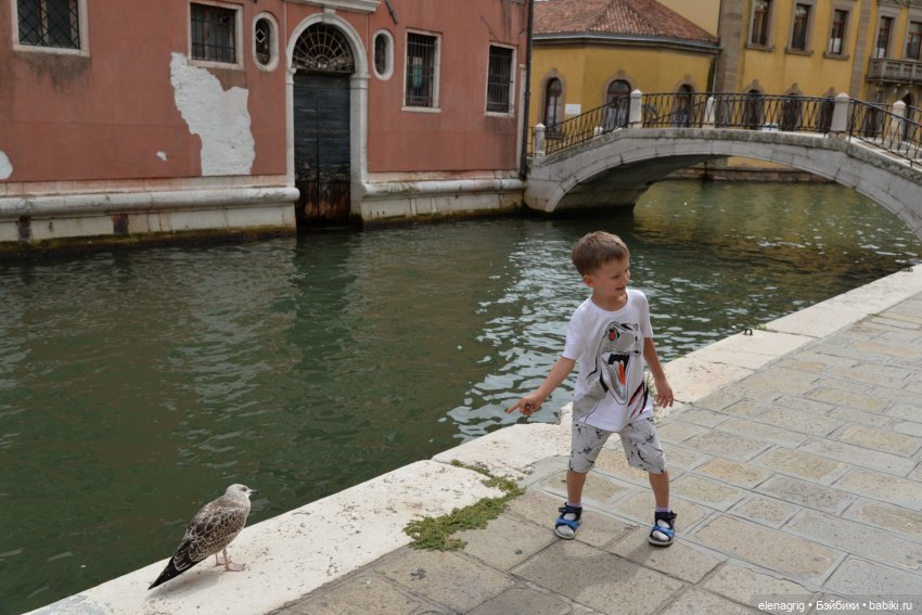 Венеция. часть вторая — Туризм и путешествия: фотоотчеты из поездок (фото 7)