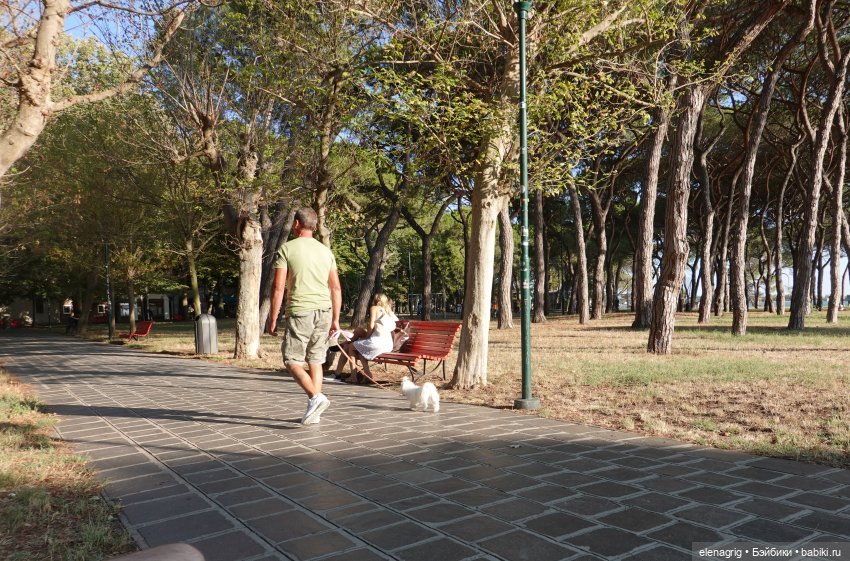 Венеция. часть вторая — Туризм и путешествия: фотоотчеты из поездок