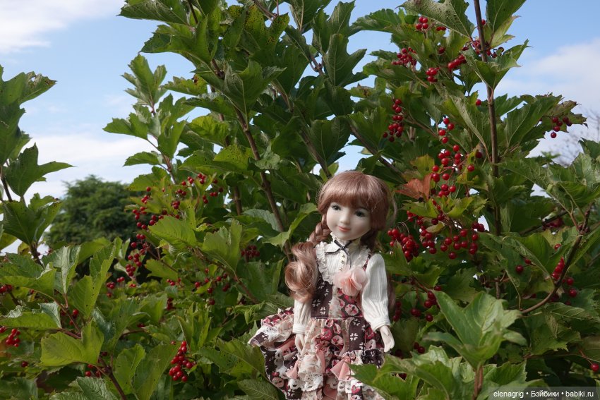 Куклы Ruby Red, Руби Ред