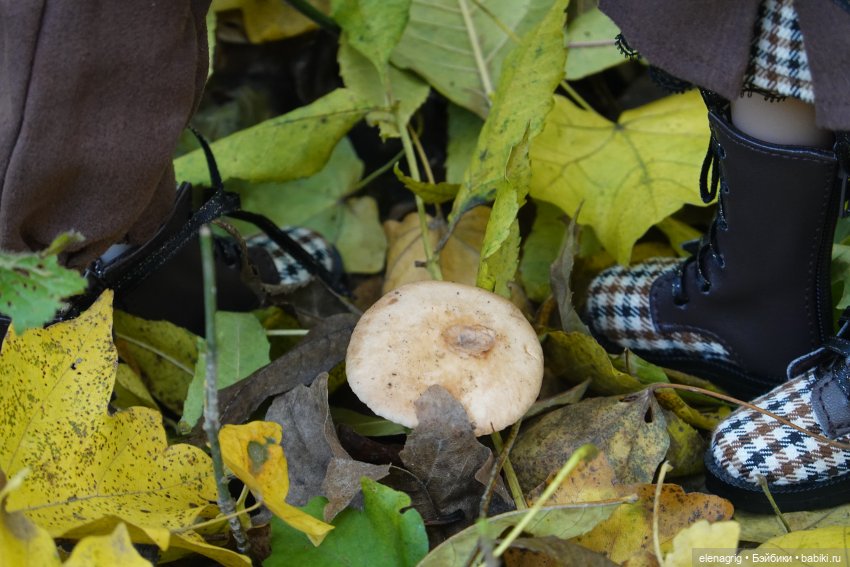 Осенняя прогулка — Куклы Ruby Red (Руби Ред) Fashion Friends: Siblies