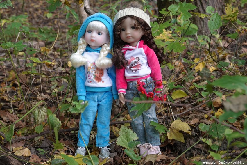 В лесу осеннем благодать — Куклы Ruby Red (Руби Ред) Fashion Friends: Siblies