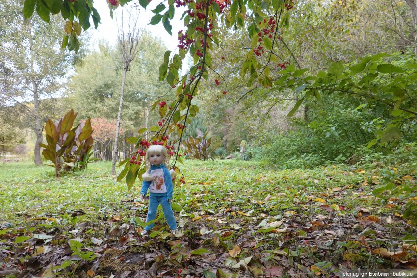 Куклы Ruby Red, Руби Ред