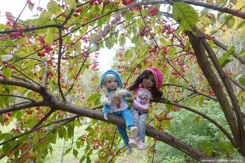 Куклы Ruby Red, Руби Ред