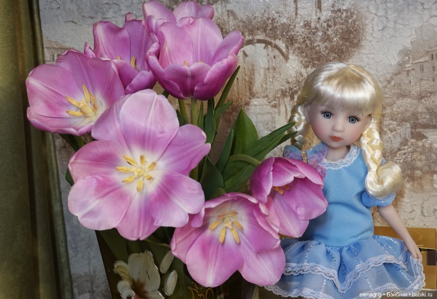 Куклы Ruby Red, Руби Ред