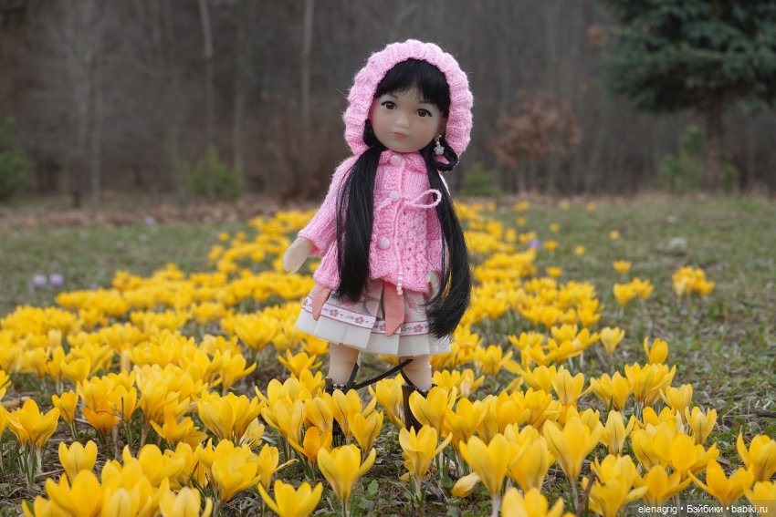 Куклы Ruby Red, Руби Ред