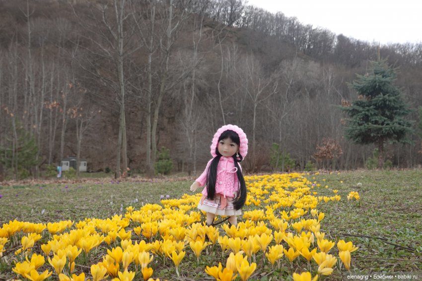 Куклы Ruby Red, Руби Ред