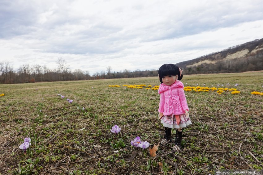 Куклы Ruby Red, Руби Ред