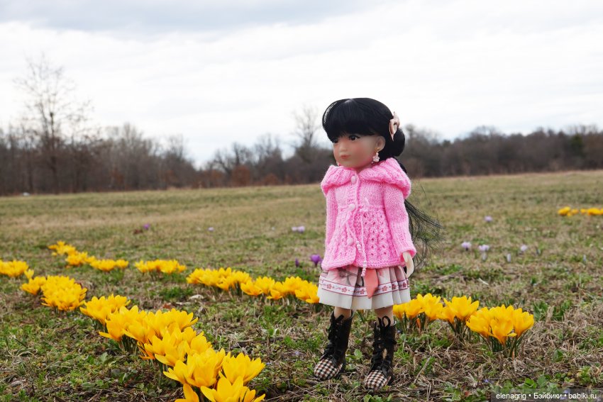 Куклы Ruby Red, Руби Ред