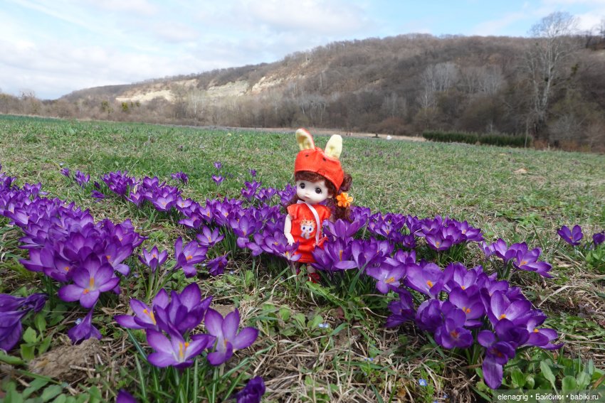 Шарнирные куклы Баболи, Baboliy dolls