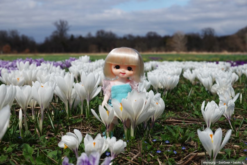 Шарнирные куклы Баболи, Baboliy dolls