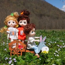 Баболи на прогулке