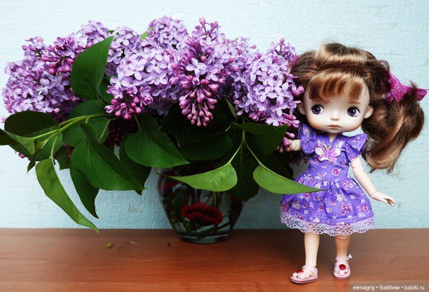 Сиреневый топик — Домашние коллекции кукол: фото собраний (фото 4)
